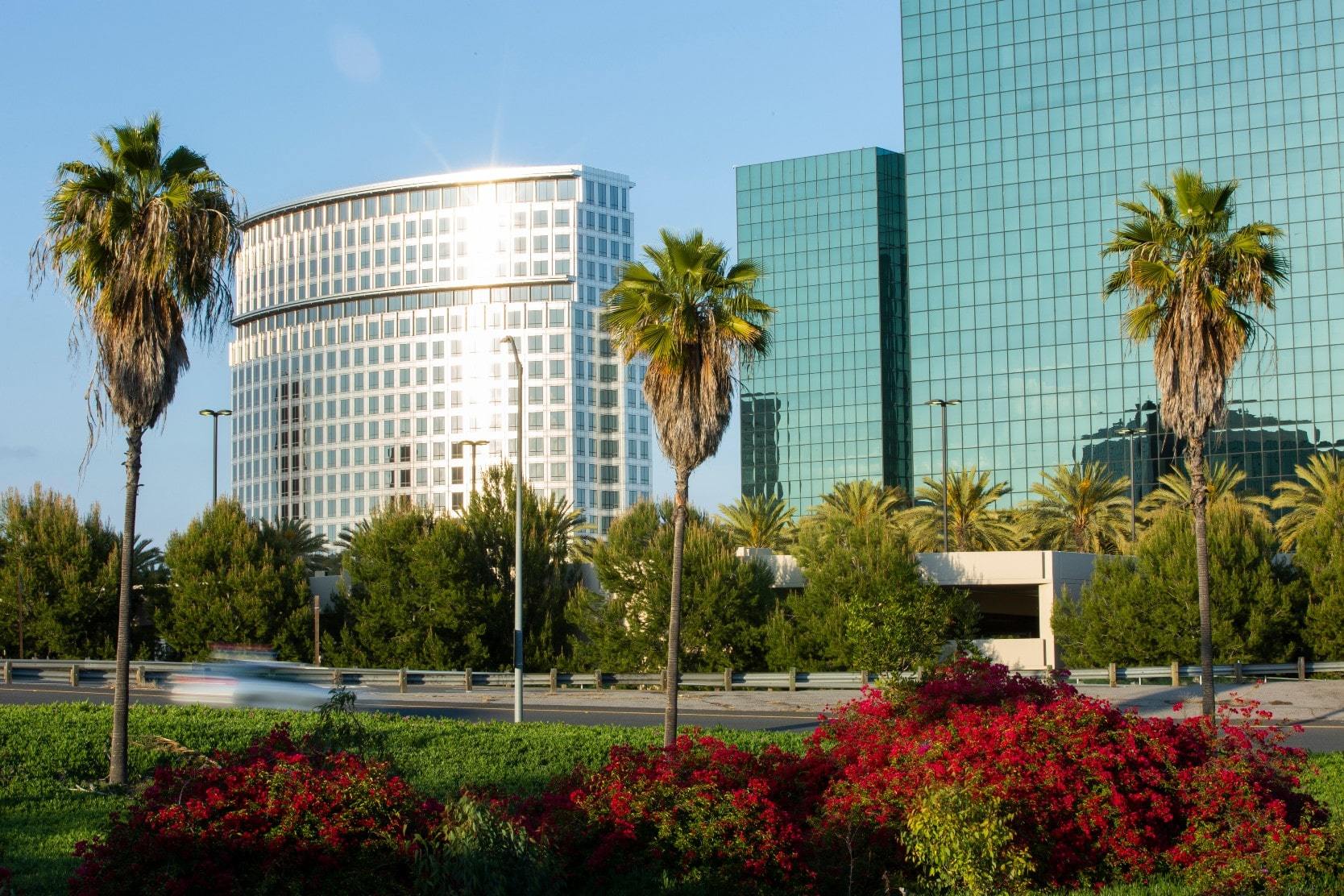 Modern buildings and palm trees in Costa Mesa, Orange County, California